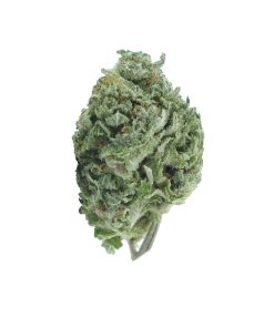 buy bubba skywalker online