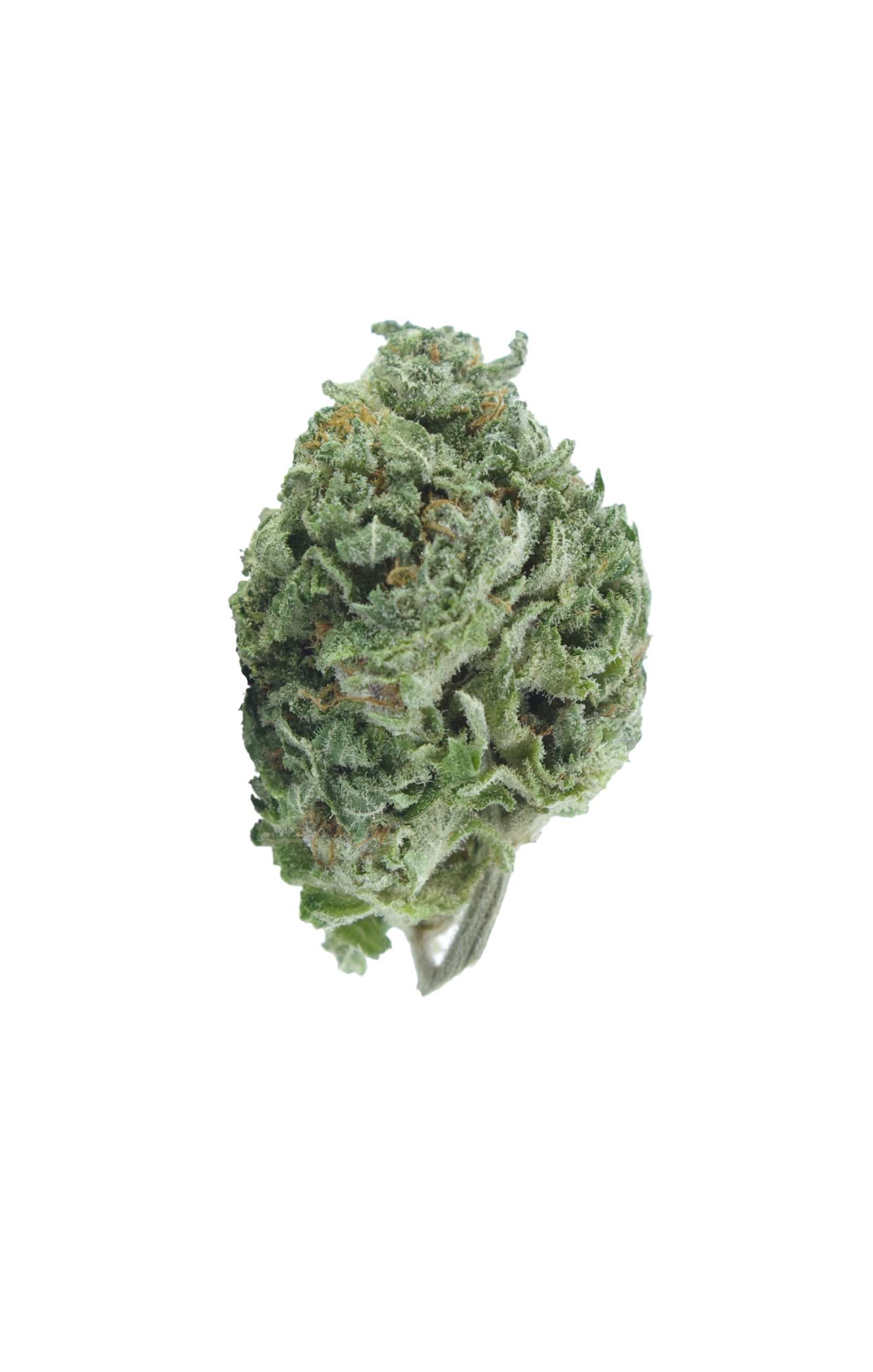bubba skywalker bud scaled Bubba Skywalker (Oz Special)