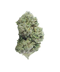 buy daeth pink online