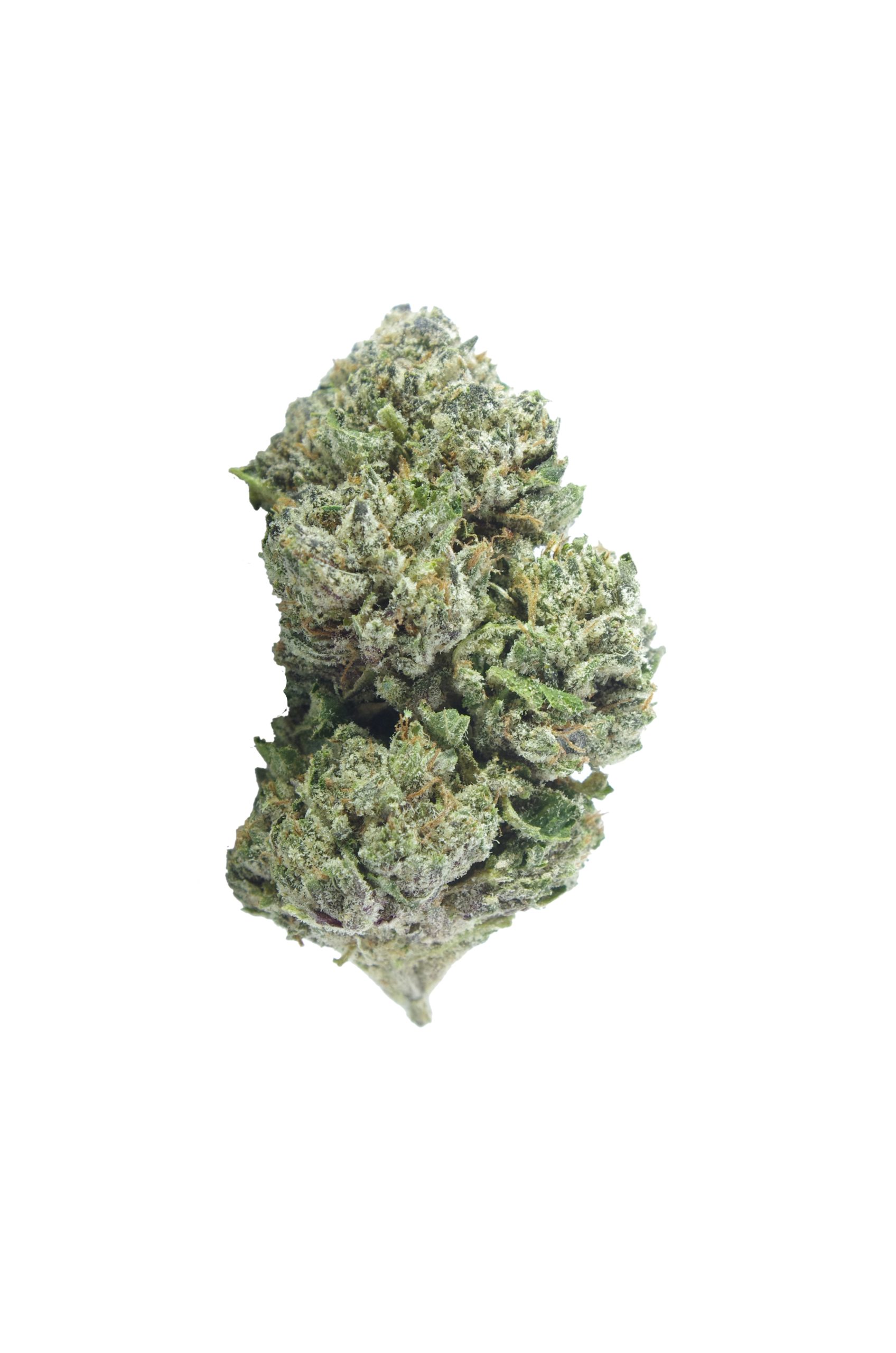 death pink bud scaled Death Pink (Oz Special)