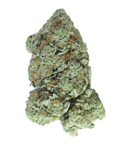 buy ghost bubba online