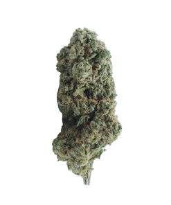 buy mandarin sunset online