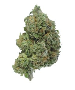 buy pink goo online