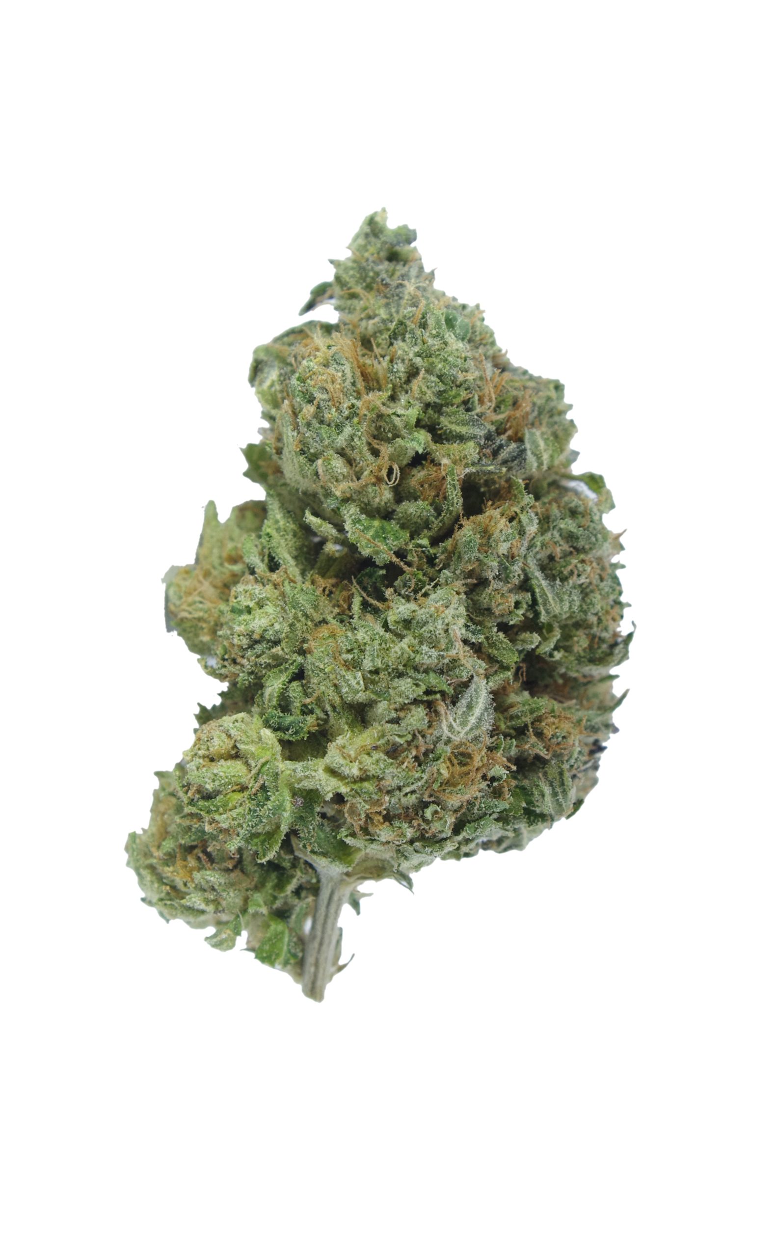 pink goo bud scaled Pink Goo (Oz Special)