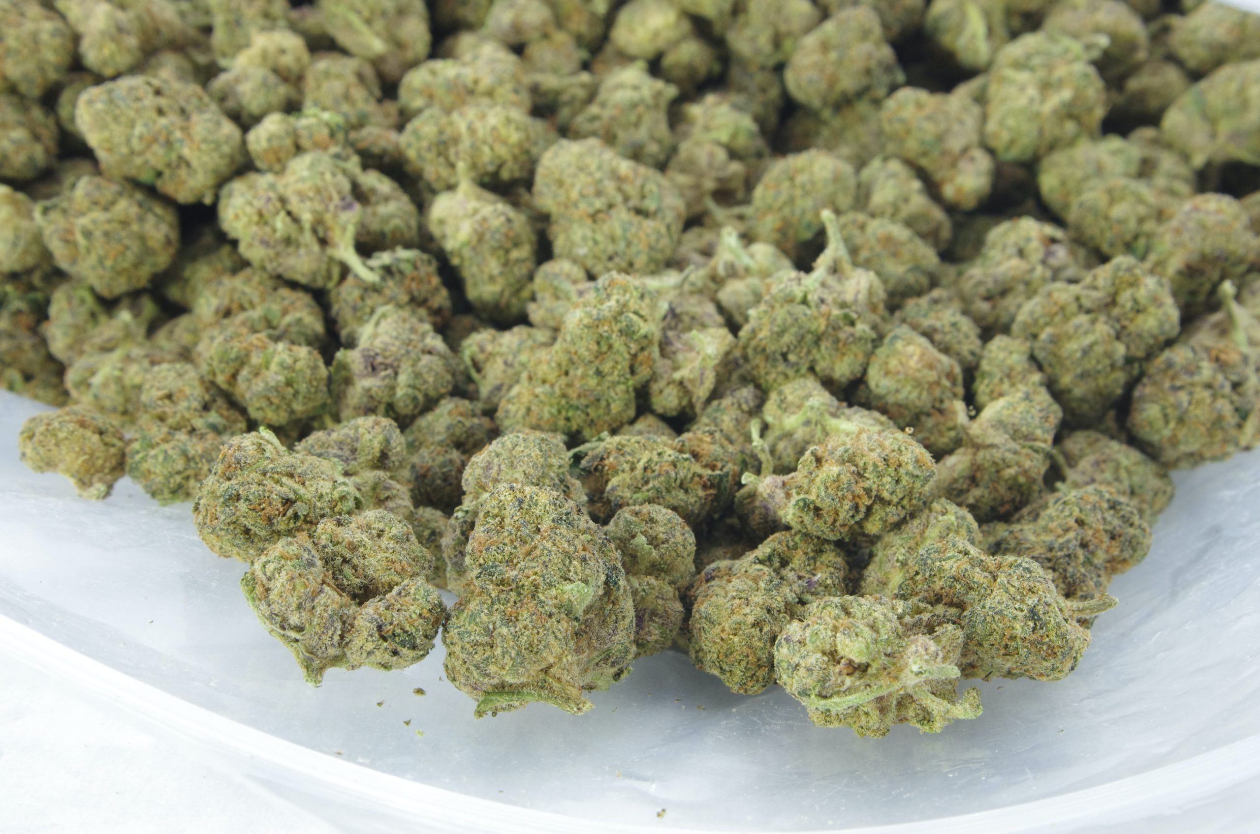 rose kush bag scaled Rose Kush Smalls (Oz Special)