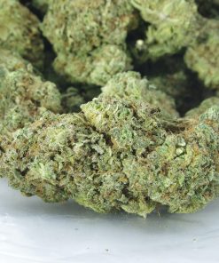 sunshine haze bag buy sunshine haze online