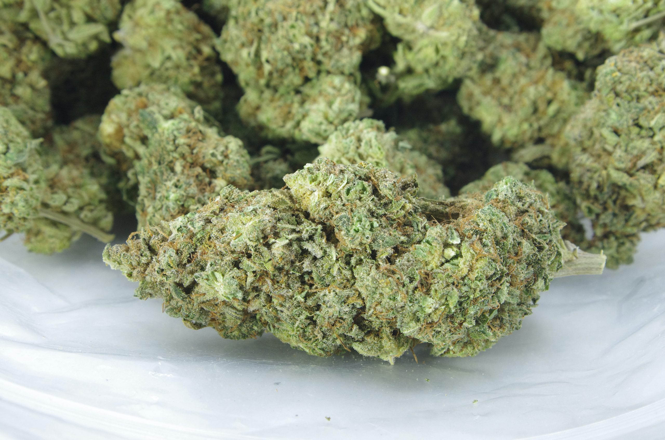 sunshine haze bag scaled Sunshine Haze (Oz Special)