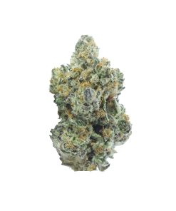 buy cali sunset online