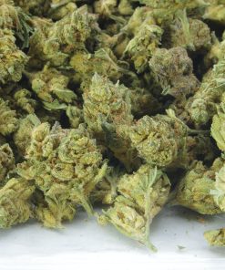 Gorilla breath bag Buy Gorilla Breath online