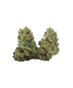 Buy Gorilla Breath online