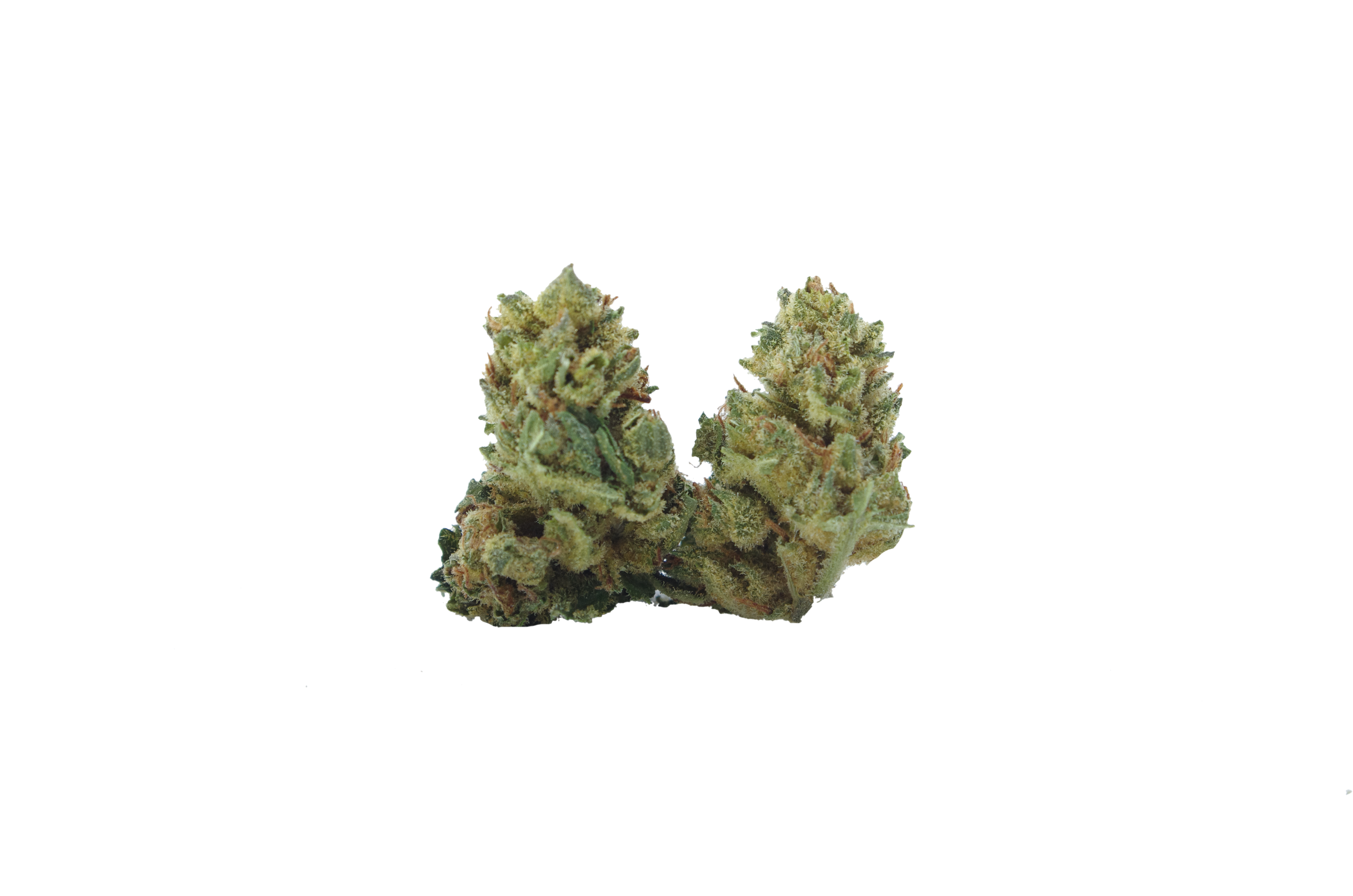 Gorilla breath smalls buds Gorilla Breath Smalls