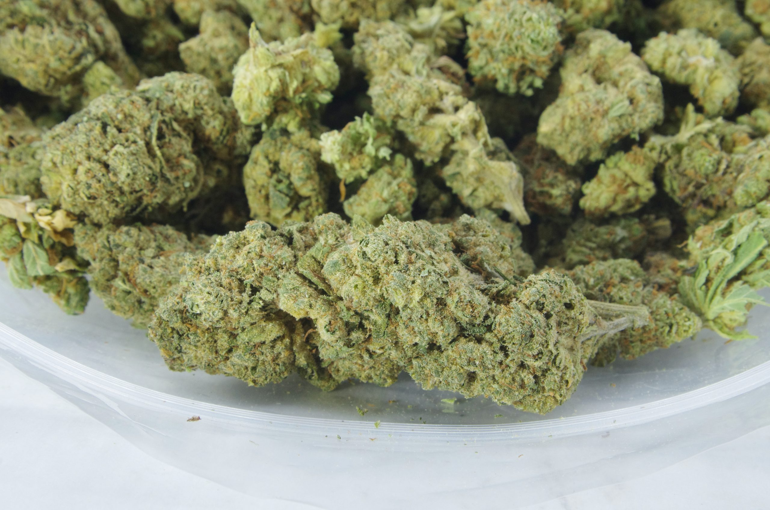 Lemon Berry bag scaled Lemon Berry (Oz Special)