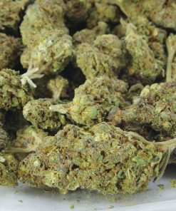 Lemon cherry gelato bag buy lemon cherry gelato online