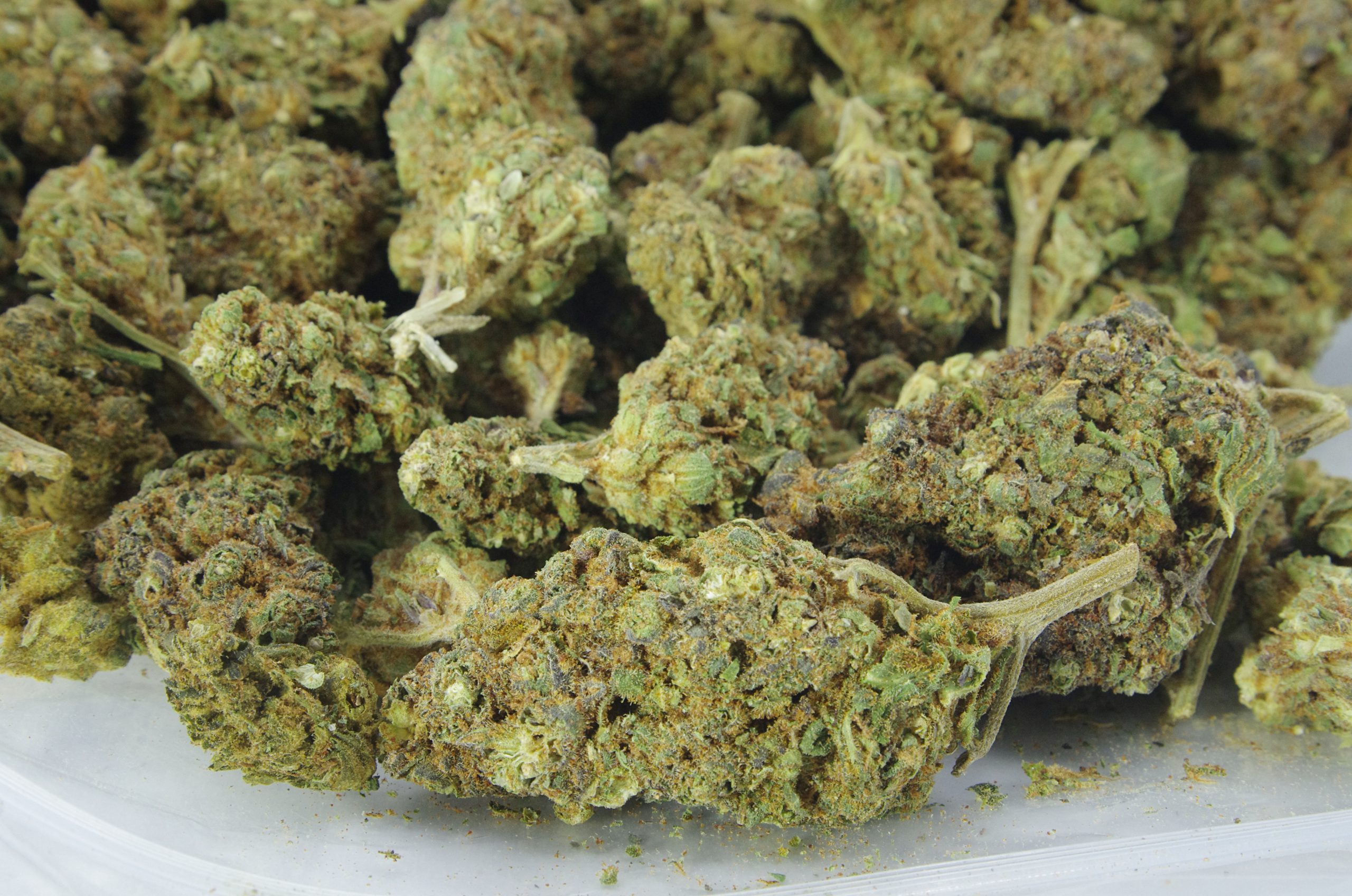 Lemon cherry gelato bag scaled Lemon Cherry Gelato (Oz Special)