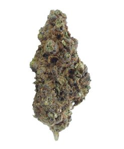buy lemon cherry gelato online