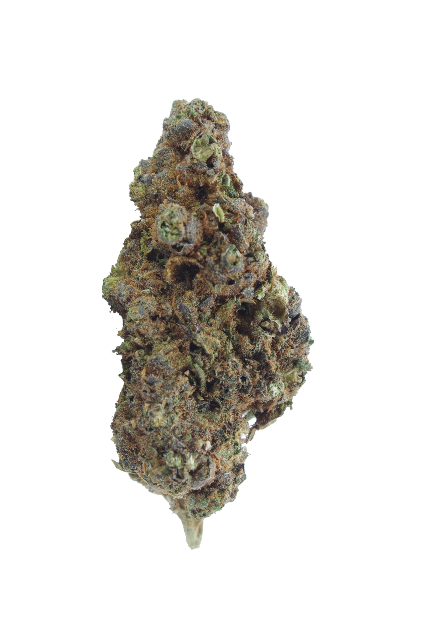 Lemon cherry gelato bud scaled Lemon Cherry Gelato (Oz Special)