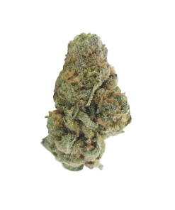 Buy Tangerine Dream Online