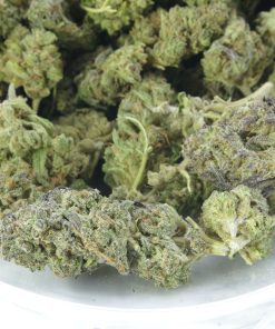 apricot kush bag buy apricot kush online