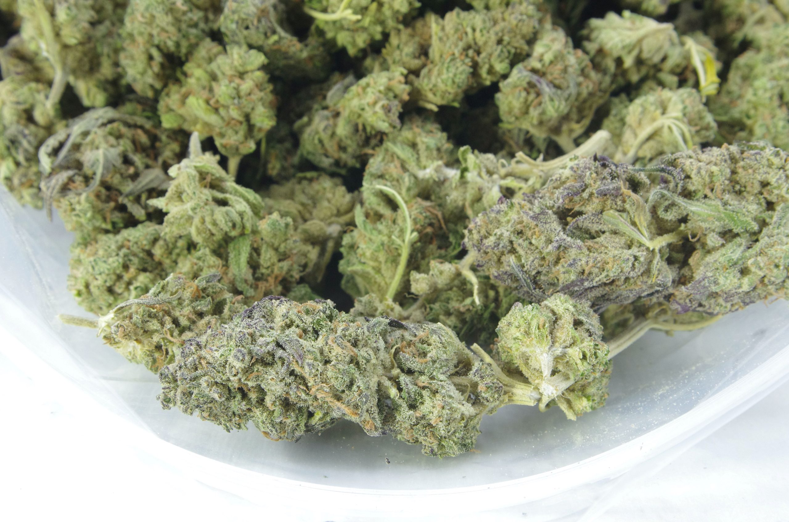 apricot kush bag scaled Apricot Kush (Oz Special)