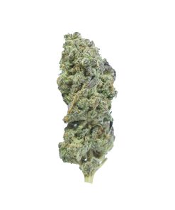 buy apricot kush online