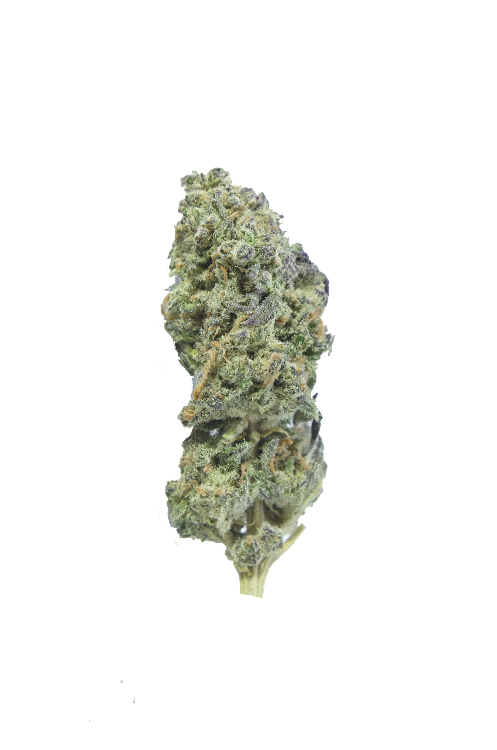apricot kush bud scaled Apricot Kush (Oz Special)
