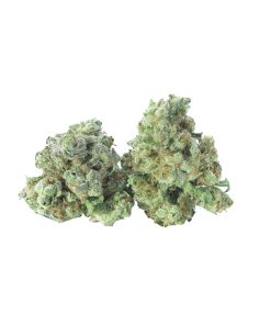 Buy blue guava online
