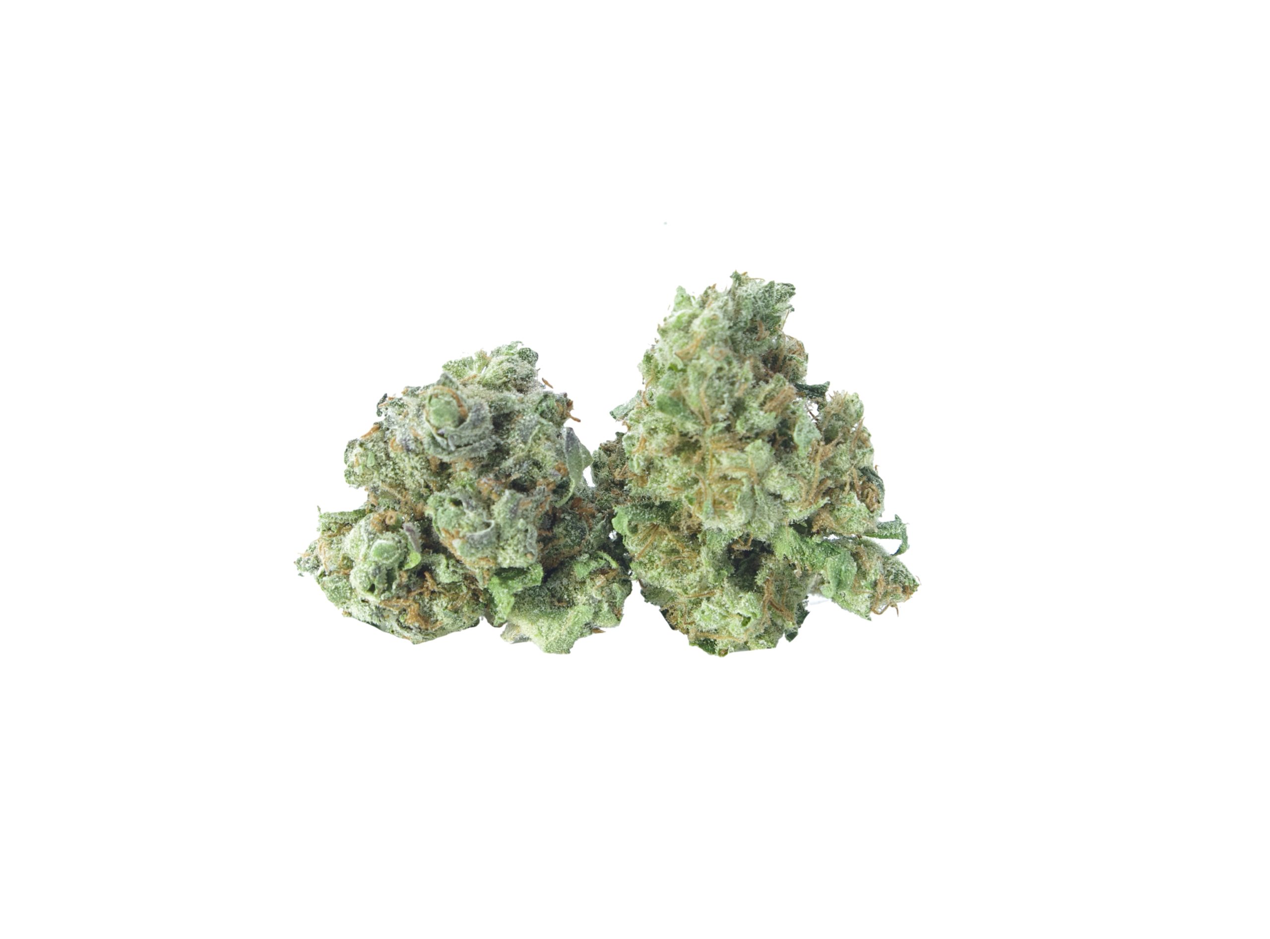 blue guava sm buds scaled Blue Guava Smalls