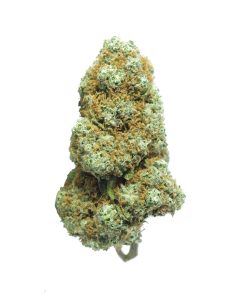 buy wedding frost online