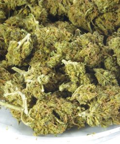 god bud bag dec6 god bud bag dec6