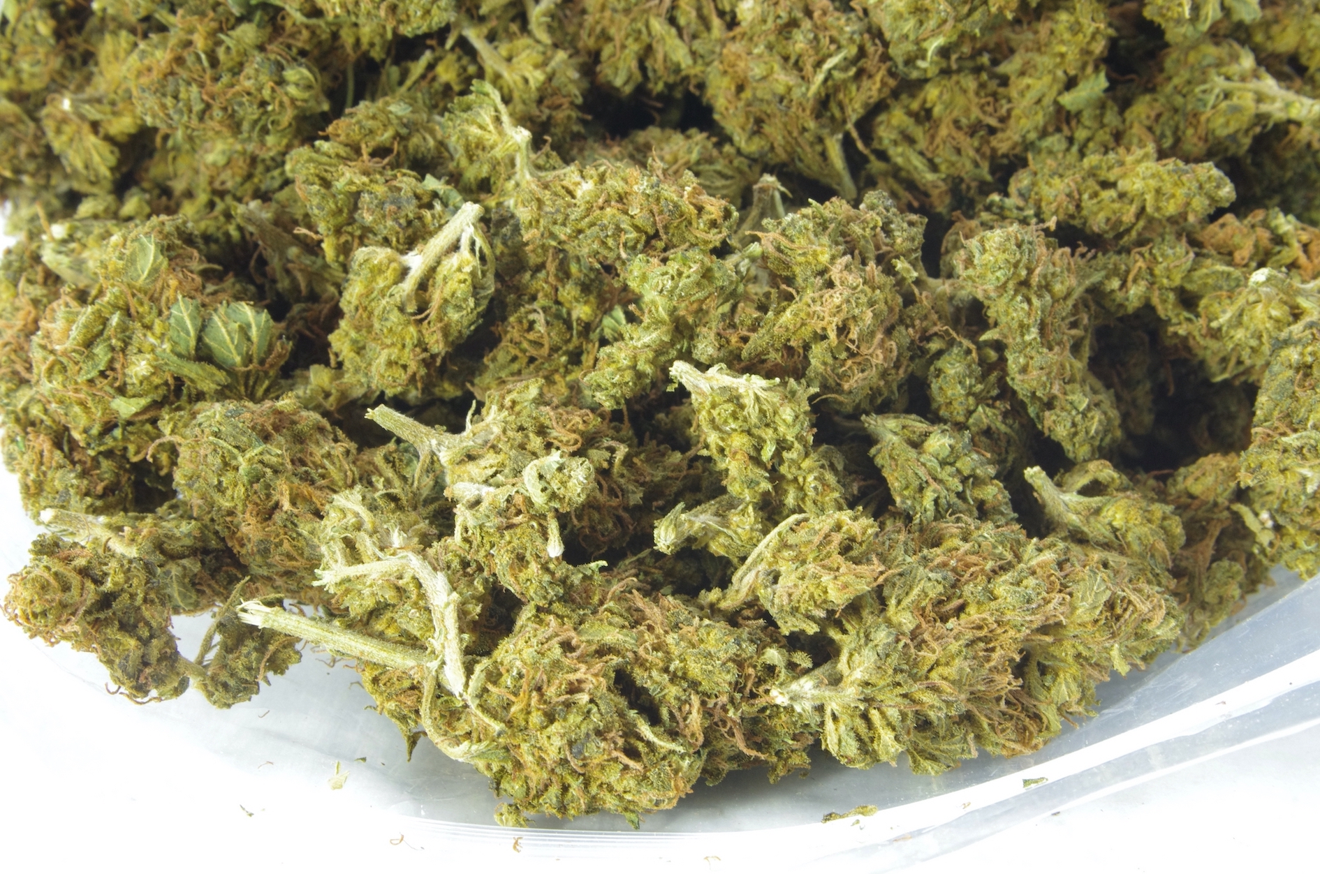 god bud bag dec6 God Bud (Oz Special)
