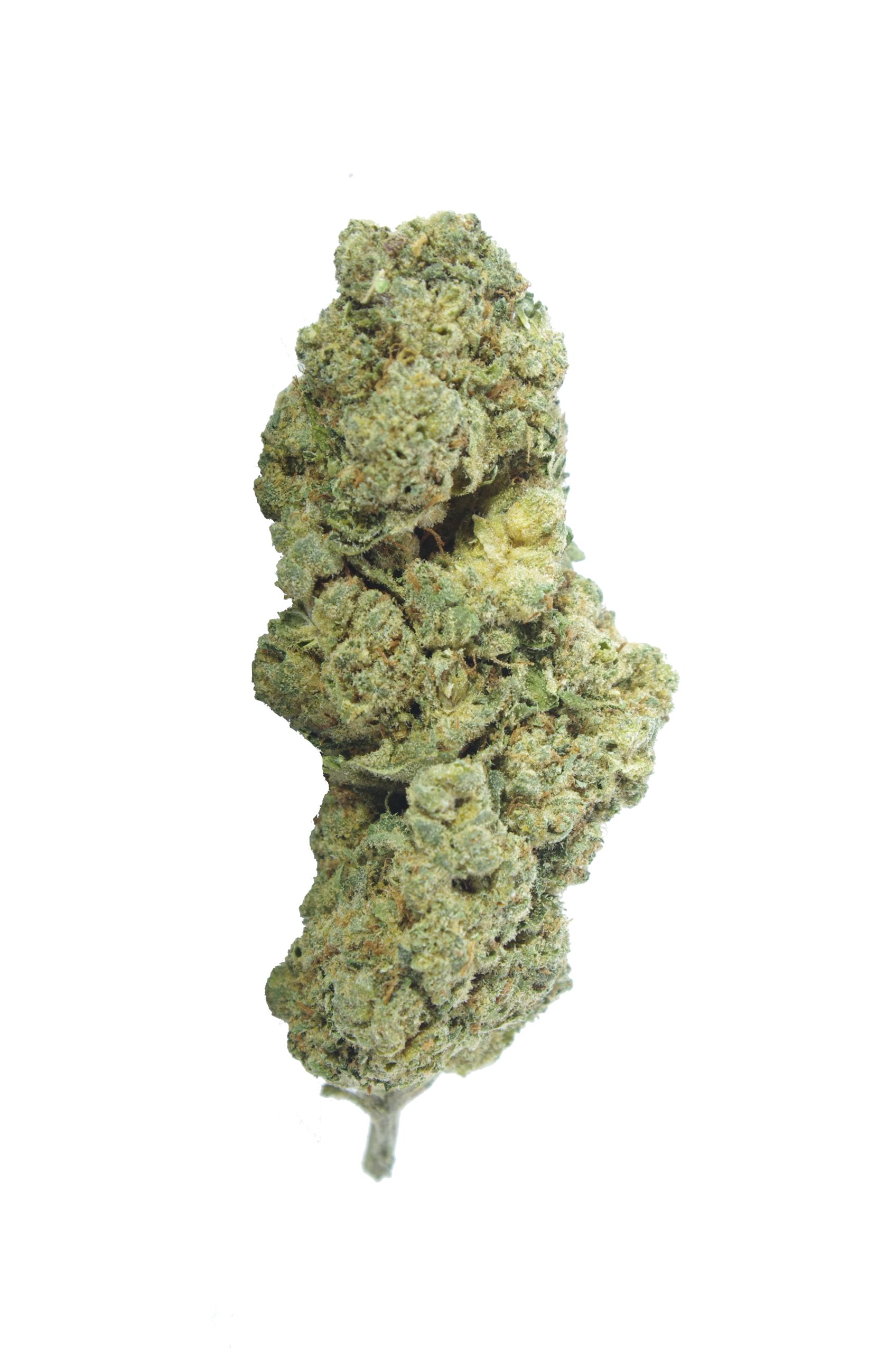 lemon berry bud scaled Lemon Berry (Oz Special)