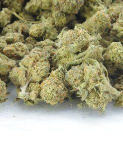 Buy Tangerine Dream online