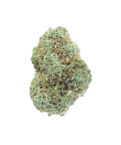 Buy dolo online