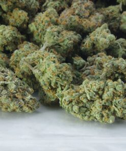 Durban Poison Bag Buy durban poison online