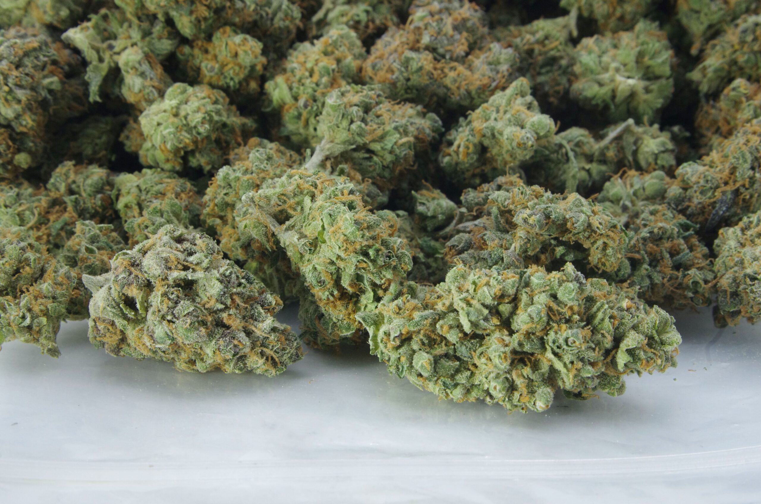 Durban Poison Bag scaled Durban Poison (Oz special)