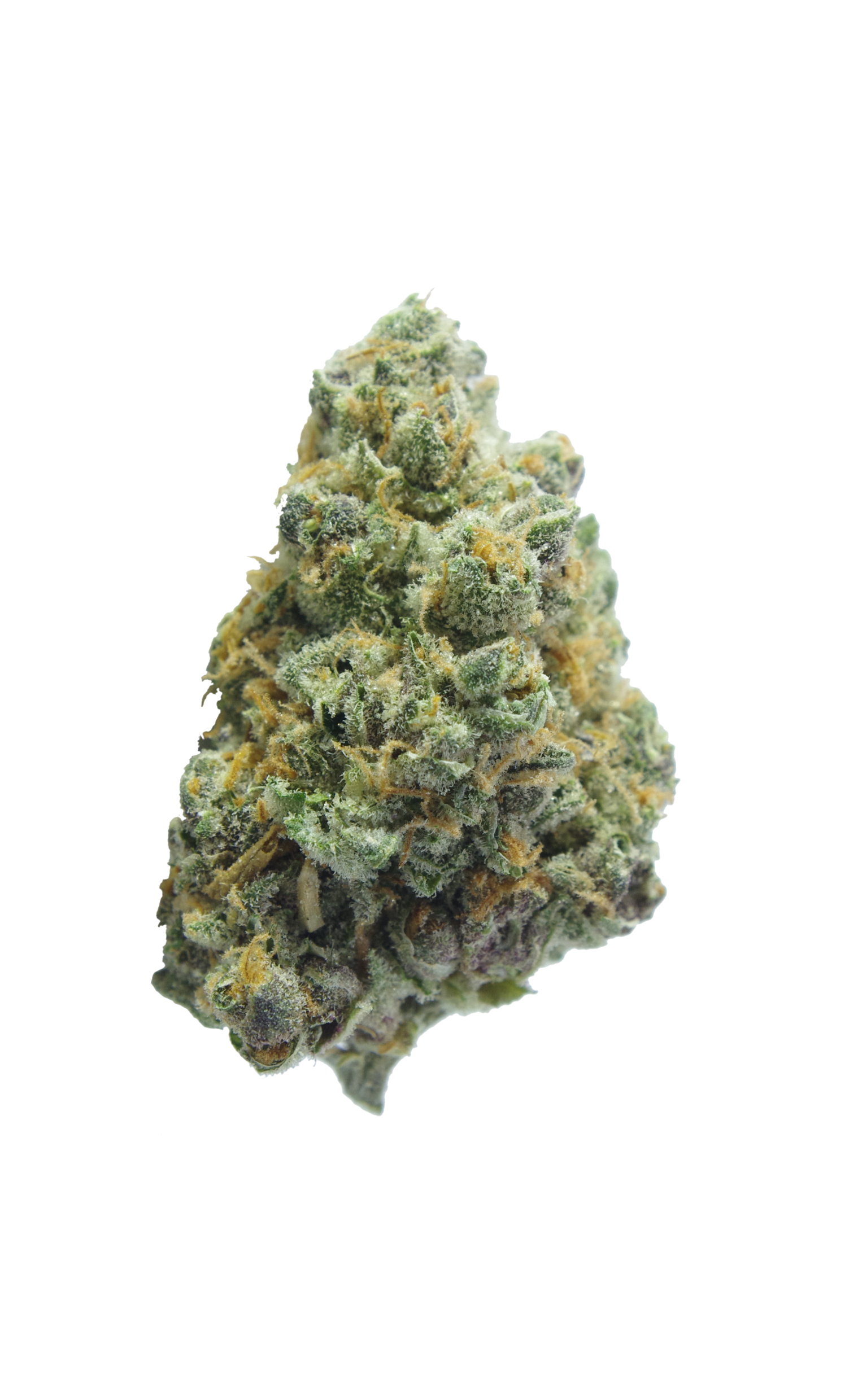 Durban Poison Bud Durban Poison (Oz special)