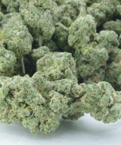 Golden Goat bag Buy golden goat online