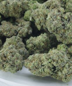 Buy Grape God online