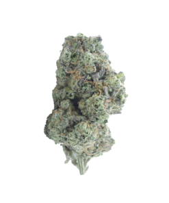 Buy Grape God online