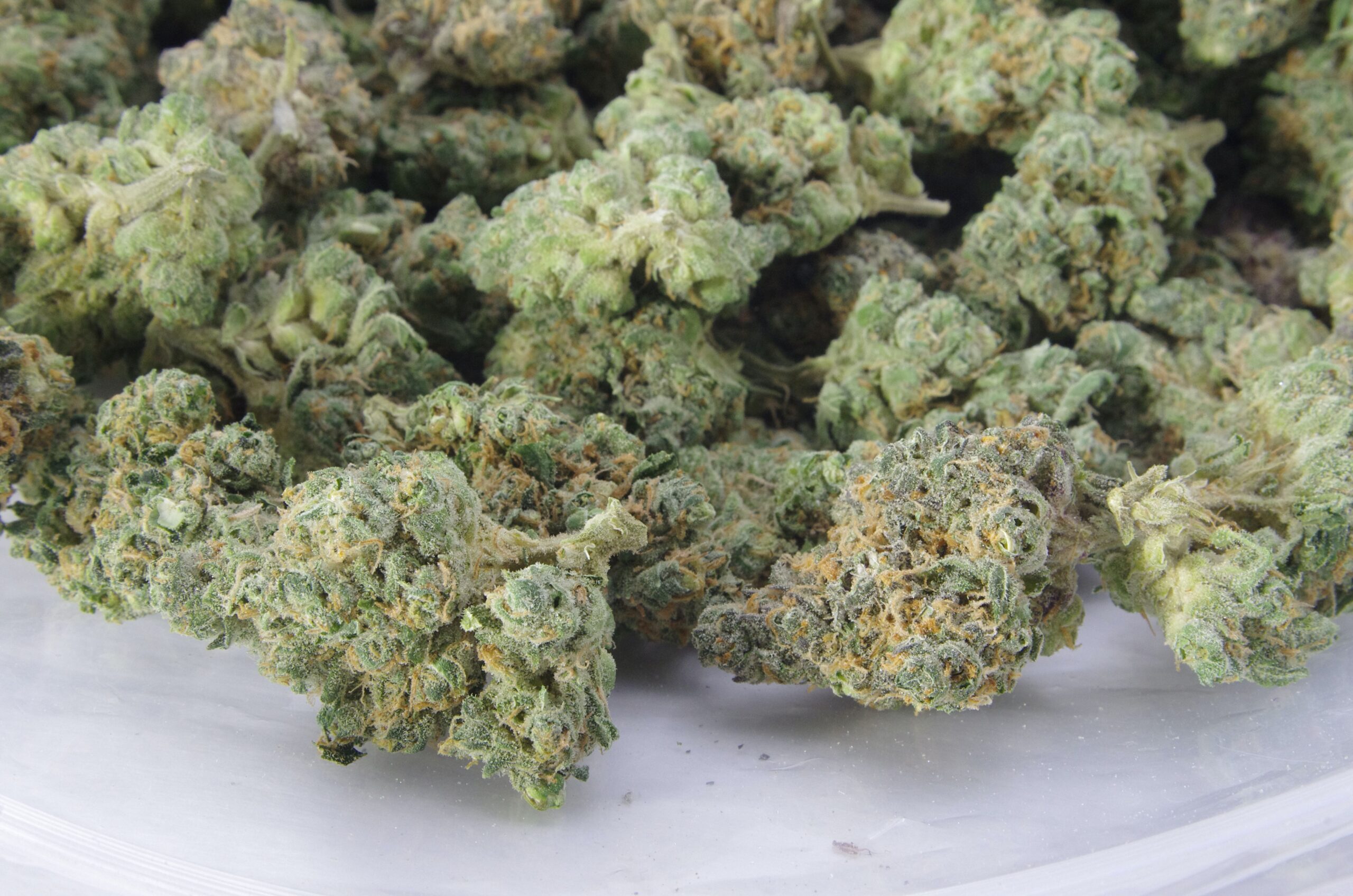 Jager Kush Bag scaled Jager Kush (Oz special)