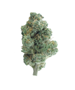 Buy jager kush onlina