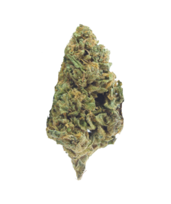 Buy kings kush online