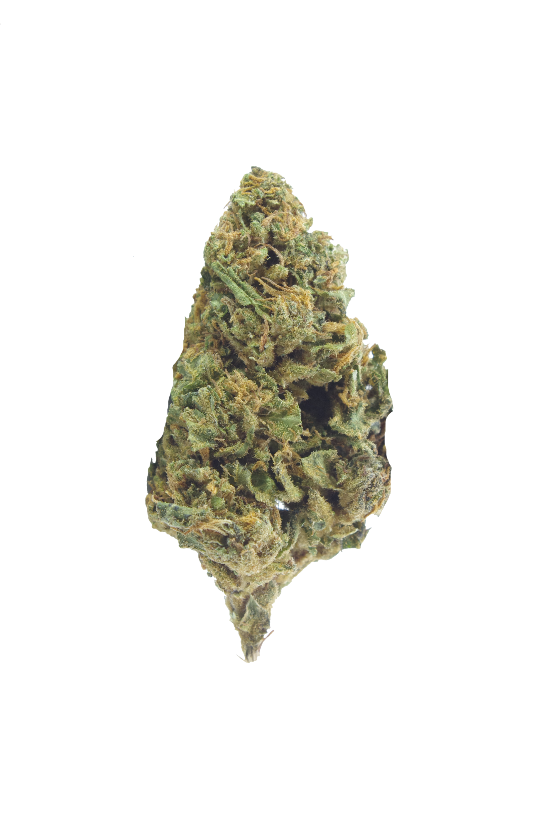 Kings Kush Bud Kings Kush (Oz special)