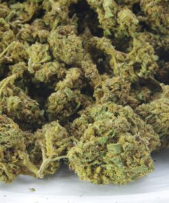 Kings Kush bag Buy kings kush online