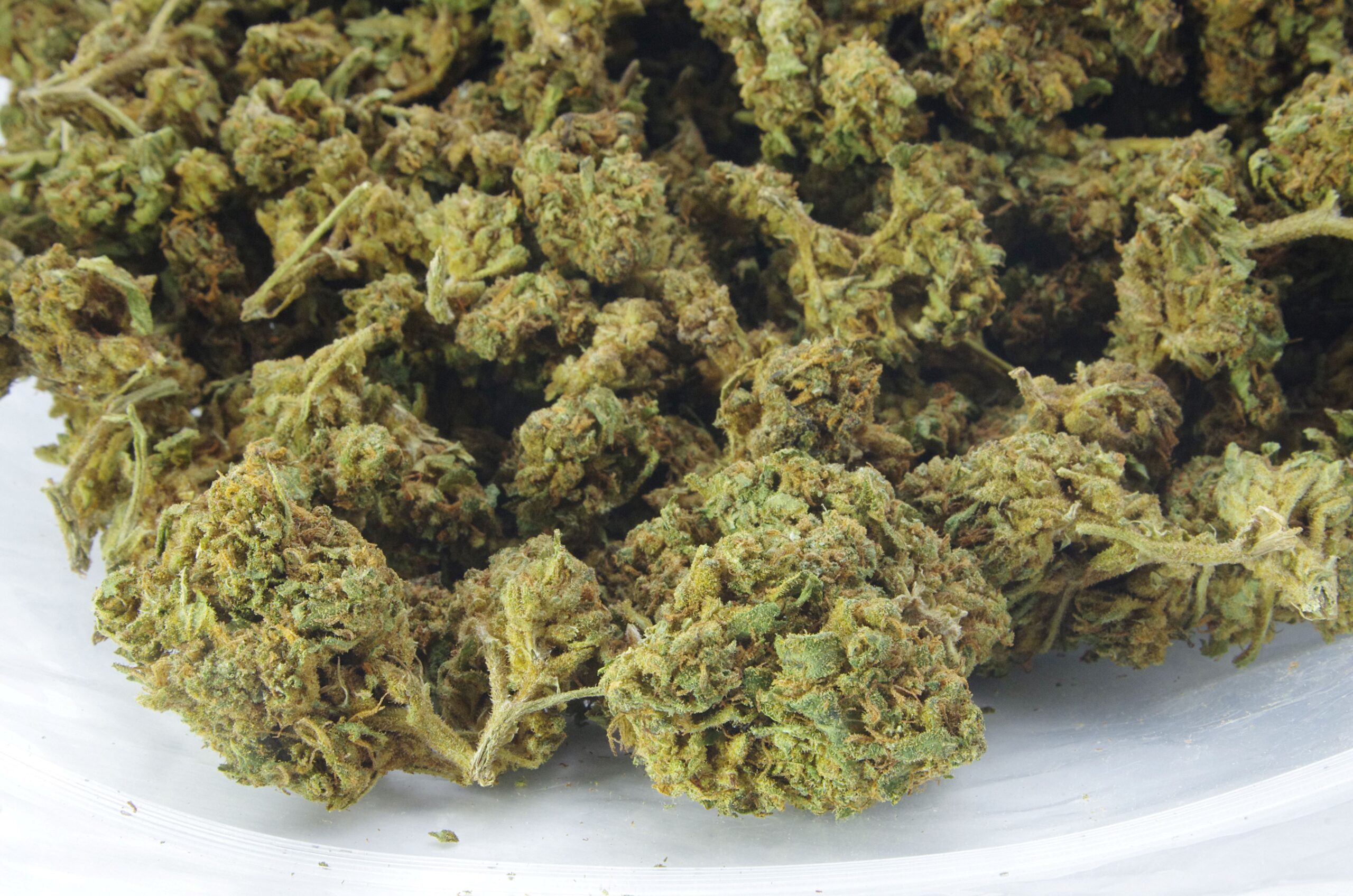 Kings Kush bag scaled Kings Kush (Oz special)