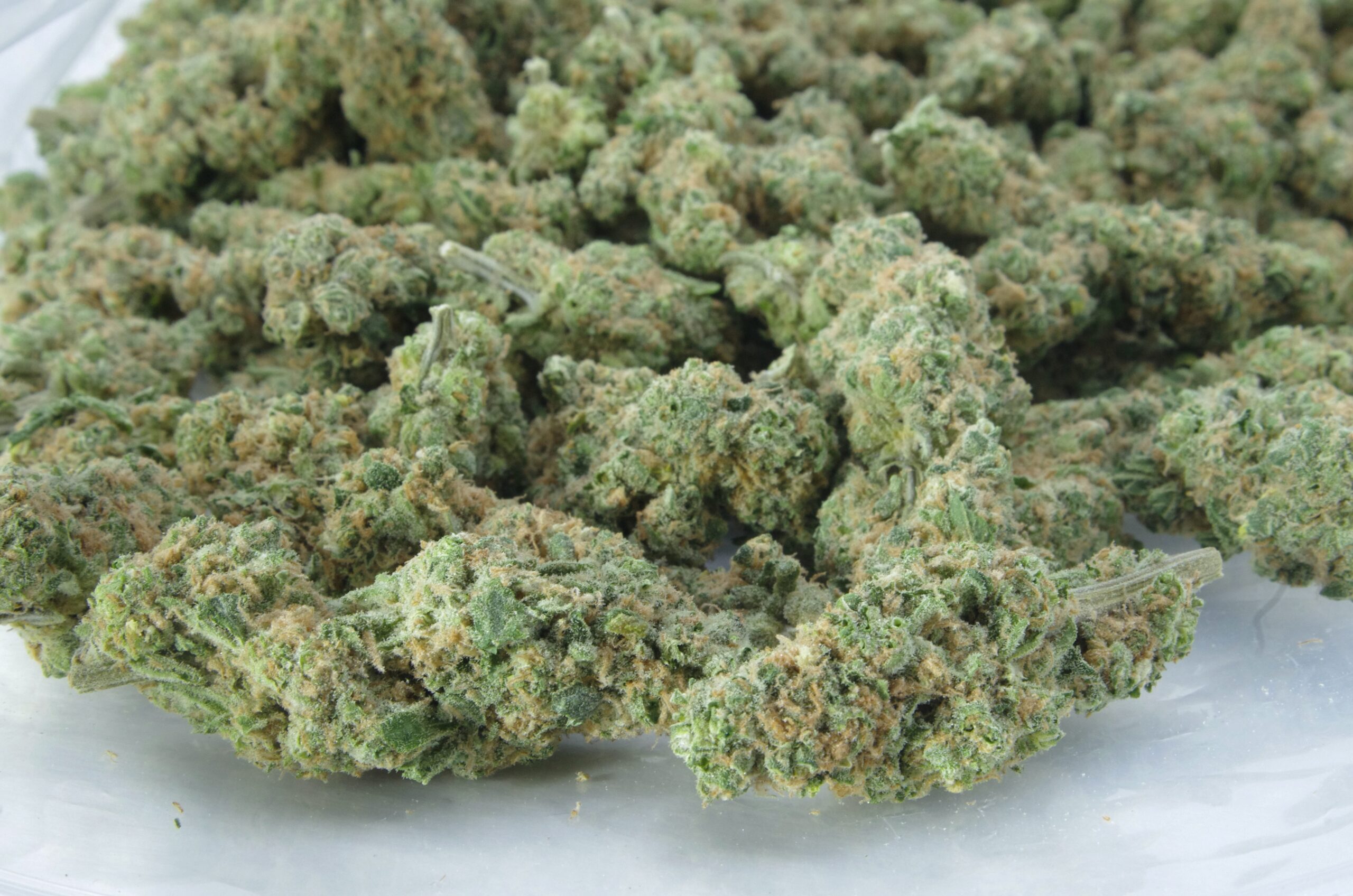 Lemon Haze Bag scaled Lemon Haze (Oz special)