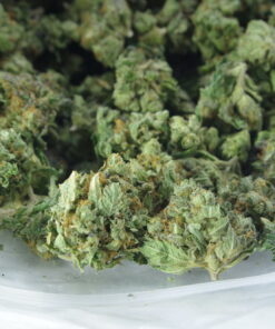 Platinum OG Smalls Platinum OG Smalls