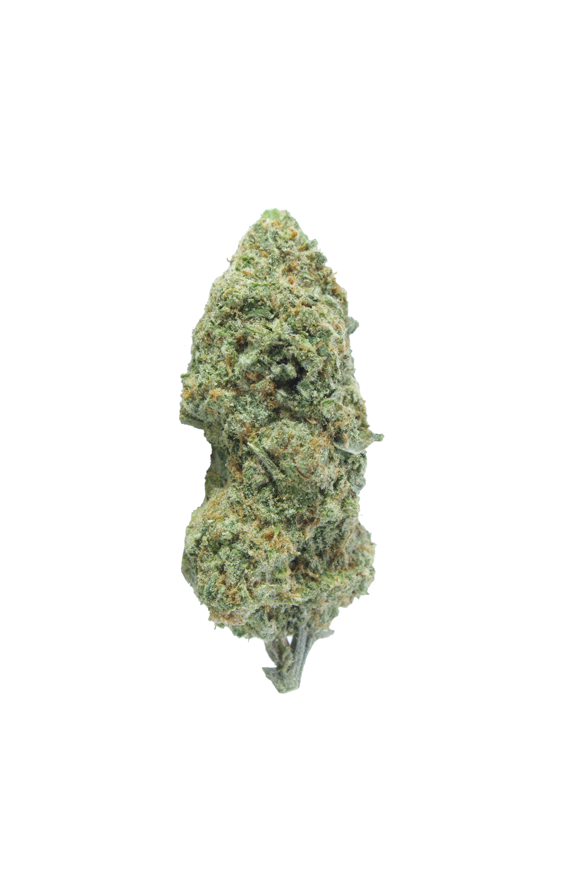 STrawberry Haze Bud rescaled Strawberry Haze (Oz Special)