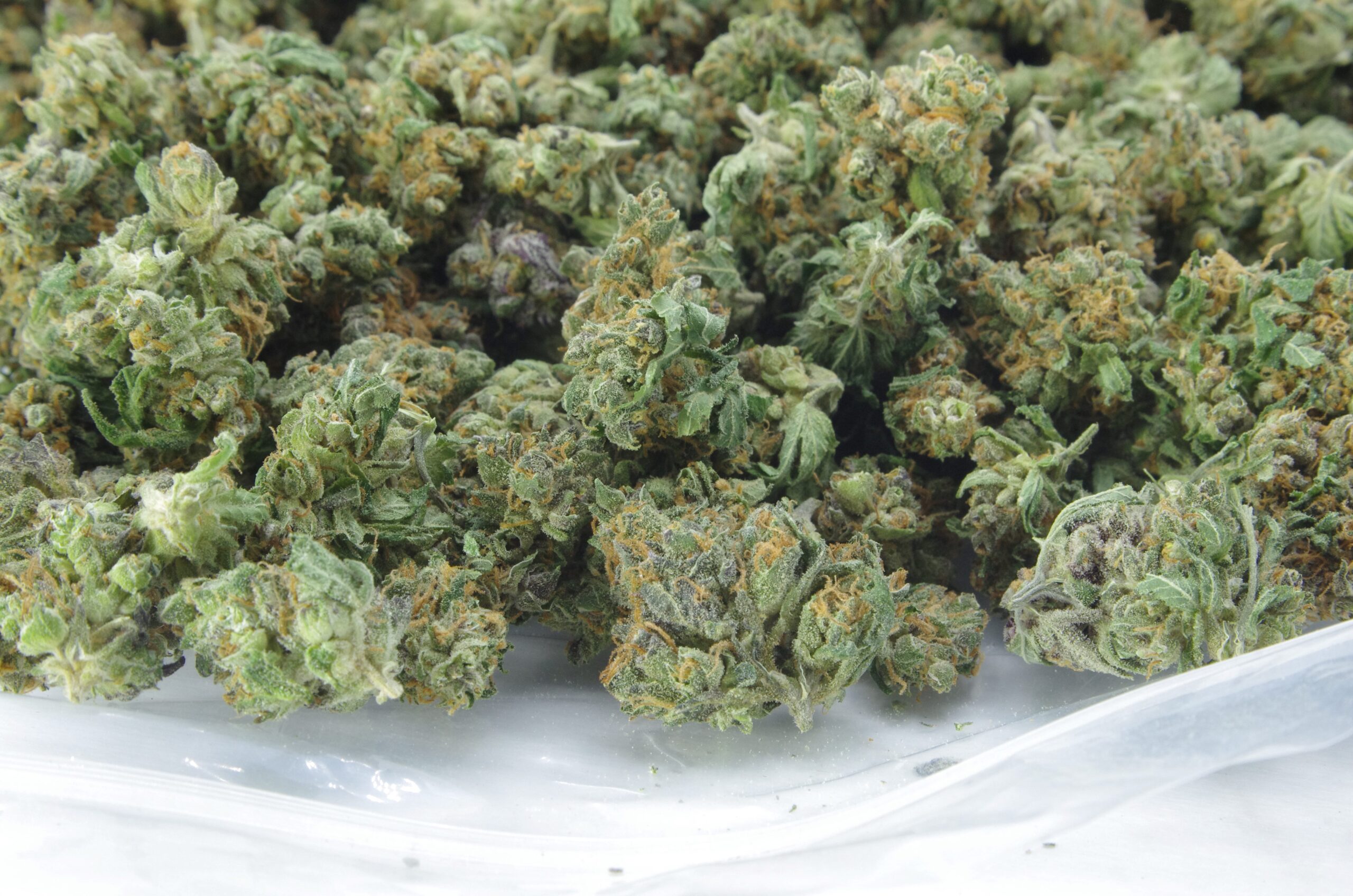 dream cookies bag scaled Dream Cookies Smalls (Oz special)