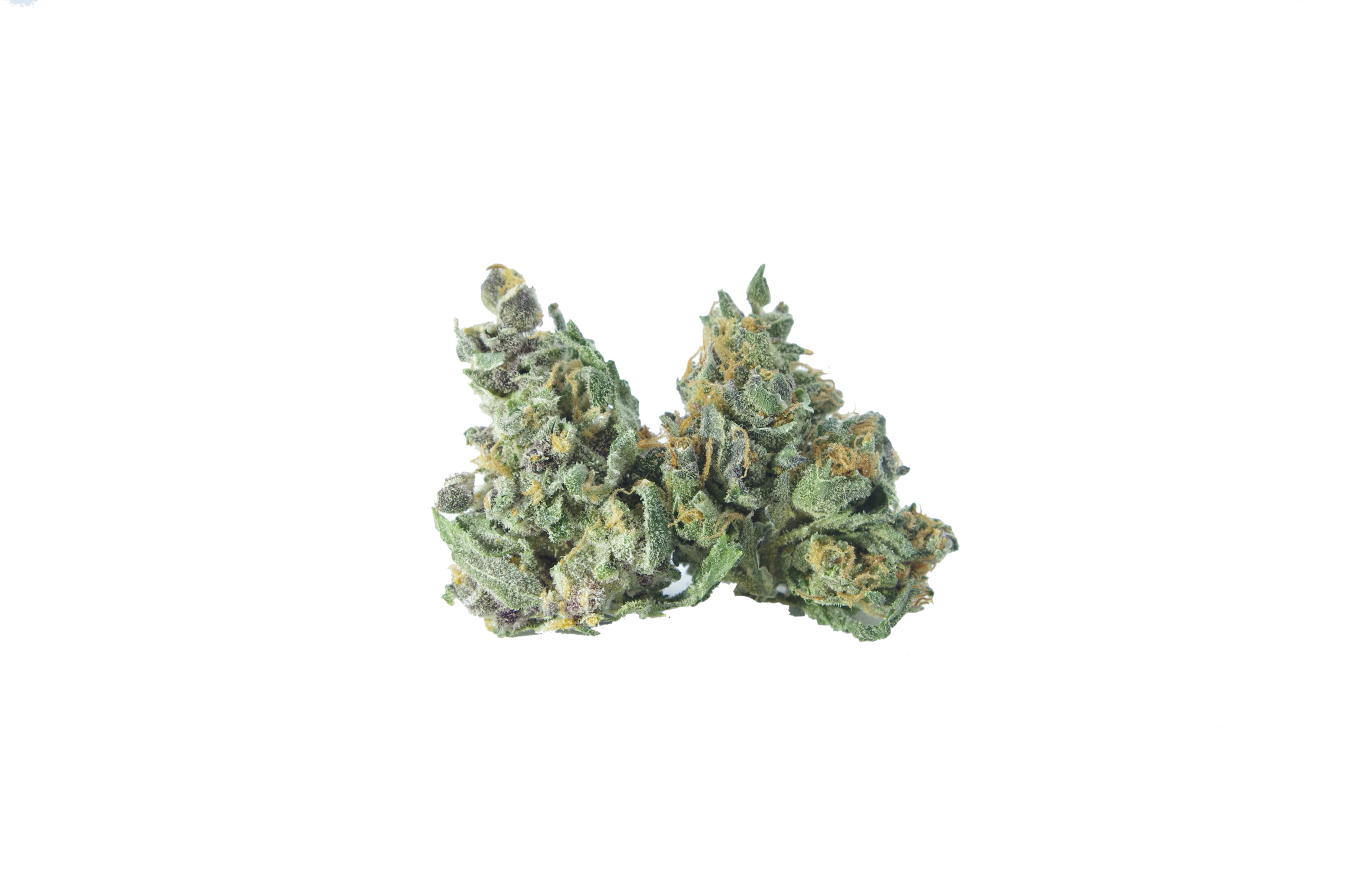 dream cookies smalls bud Dream Cookies Smalls (Oz special)